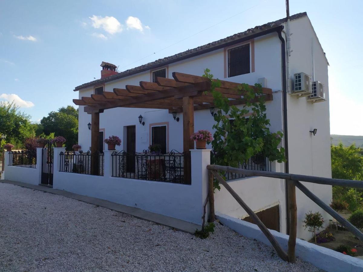 Setenil De Las Bodegas La Casa De La Abuela 게스트하우스 외부 사진