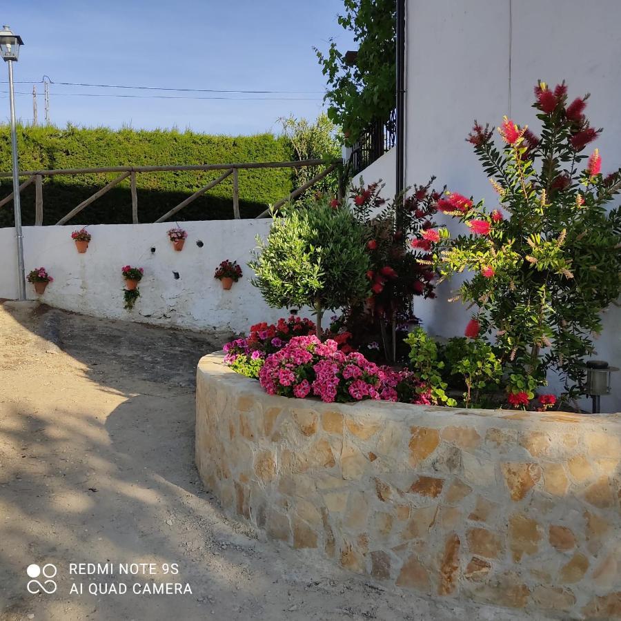 Setenil De Las Bodegas La Casa De La Abuela 게스트하우스 외부 사진