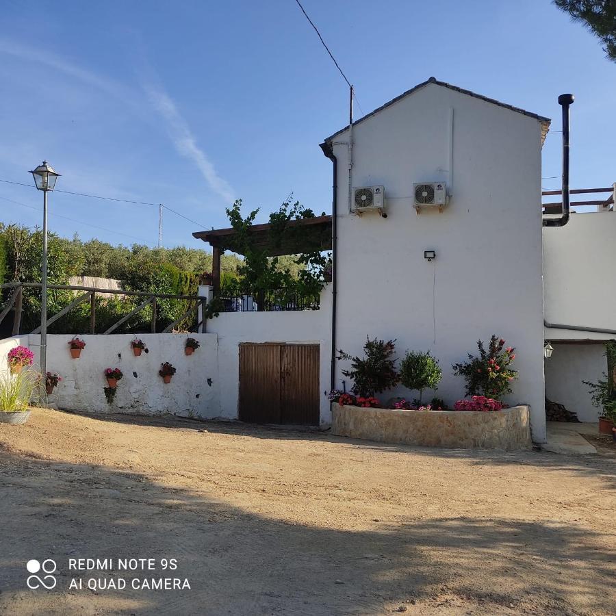 Setenil De Las Bodegas La Casa De La Abuela 게스트하우스 외부 사진
