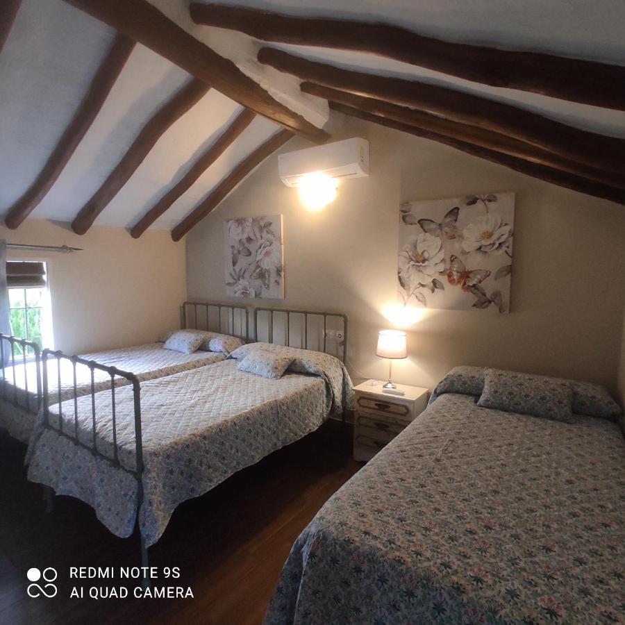 Setenil De Las Bodegas La Casa De La Abuela 게스트하우스 외부 사진