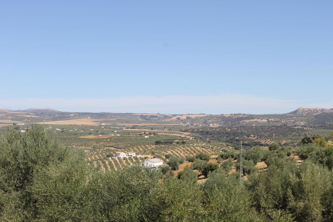 Setenil De Las Bodegas La Casa De La Abuela 게스트하우스 외부 사진