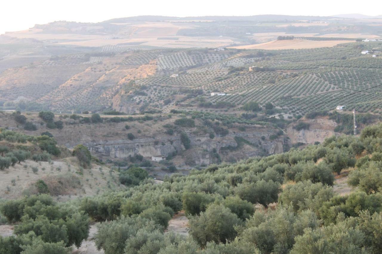 Setenil De Las Bodegas La Casa De La Abuela 게스트하우스 외부 사진